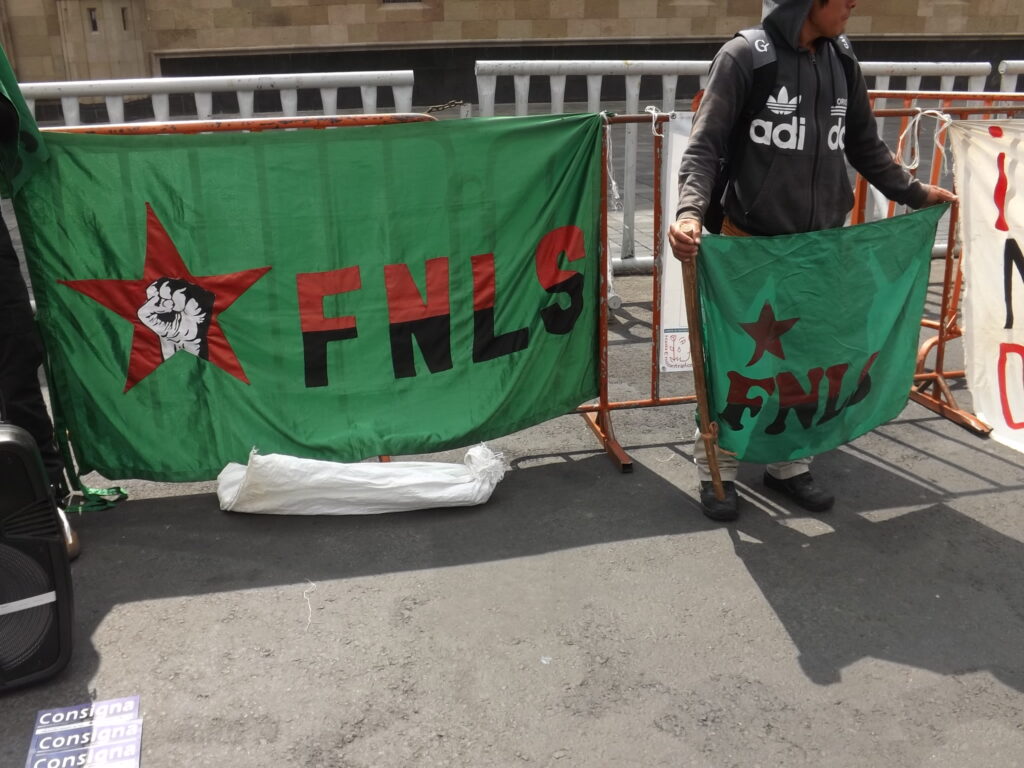 Bandera FNLS