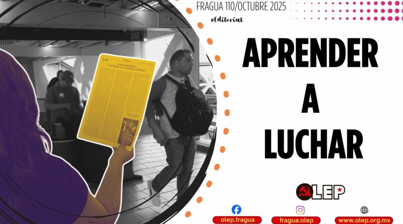 Aprender a luchar ¿Cómo se aprende A luchar?