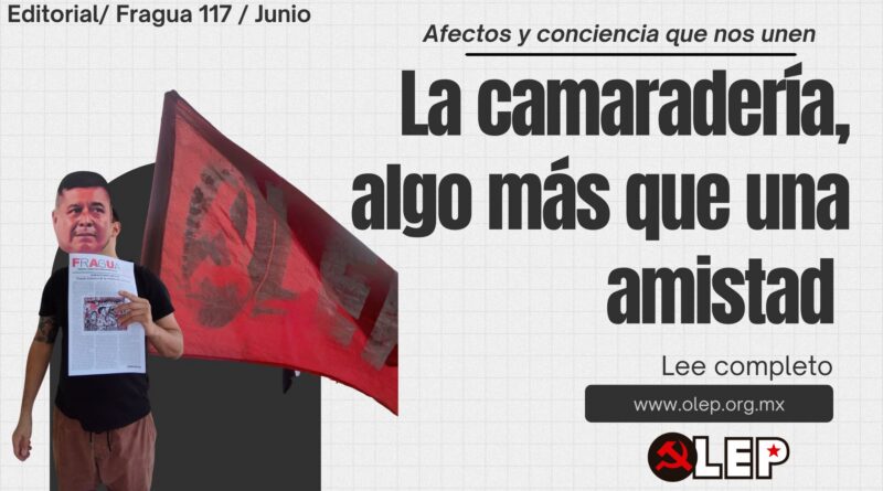 La camaradería, algo más que una amistad