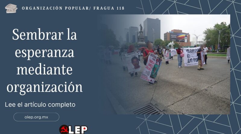 Sembrar la esperanza mediante organización